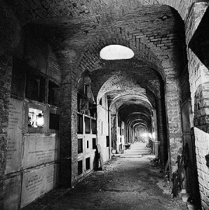 © Historic England Reference Number: AA074068	   Caption:	A view along the interior of The Terrace Catacombs in the West Cemetery during repair work, showing lighting and tools along its length Photographer:	John Gay	Date Taken:	1994