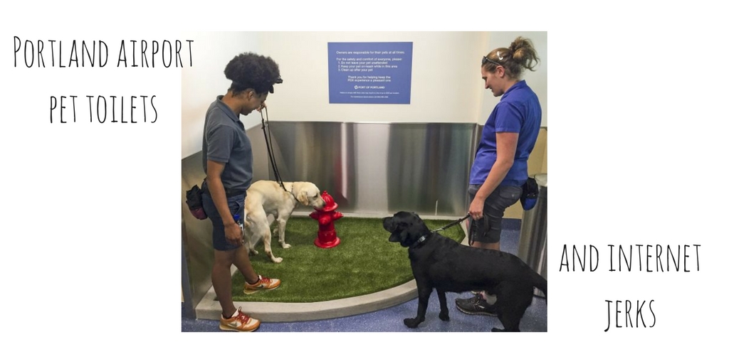 Oregon Law On Service Dogs Oregon Law On Service Dogs