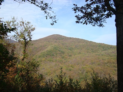 DSC04867