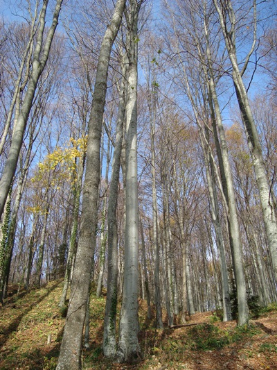 DSC04880